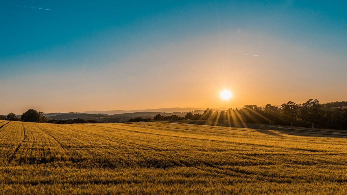 Crédito Rural e Financiamento Agro