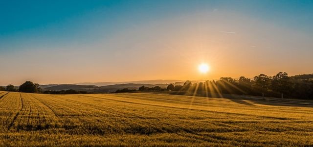 Crédito rural e agronegócio